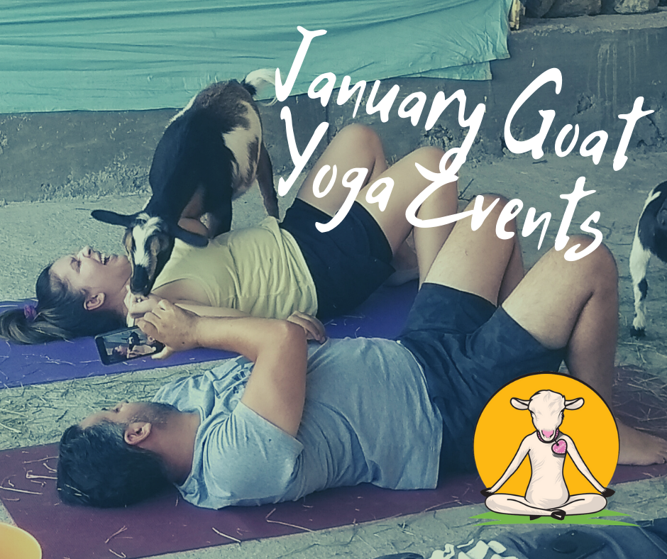January goat yoga events