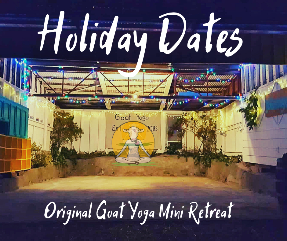 Holiday Goat Yoga Events